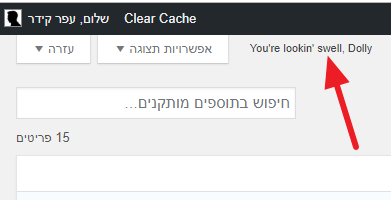 בניית אתר וורדפרס | עפר קידר בניית אתרים בניית אתר וורדפרס | עפר קידר בניית אתרים